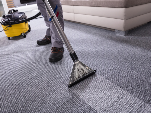 Best Rated Carpet Cleaners